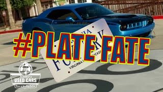 Plate Fate  Rabbits Used Cars [upl. by Blackstock]