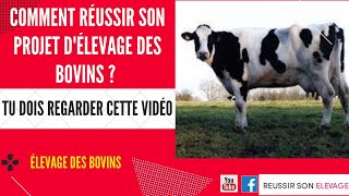 Réussir son projet délevage des Bovins  vache laitière  bovin viande  bovin lait  boeuf [upl. by Nauqad]