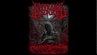 ENTRAILS ERADICATED  Cadaverous Inhuman Form  Lyric Video [upl. by Bronny]