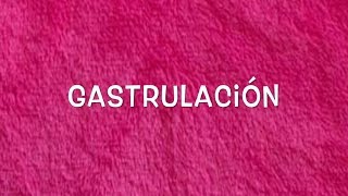 Gastrulación [upl. by Oelgnaed]