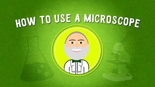 How to Use a Microscope  STEM [upl. by Ahsilahk]