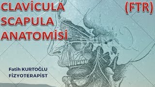 FTR Anatomi Kemik Konu Anlatımı1  ClaviculaScapula  Fizyoterapist [upl. by Griff]