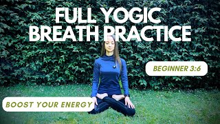 Full Yogic Breath Practice  Beginner 36  Dirga Pranayama  Three Part Breath  Breathwork [upl. by Yann]