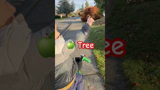 Bennett’s Apple Tree Adventure Learning and Exploring with Mommy apple appletree biking mommy [upl. by Ahseiyk]