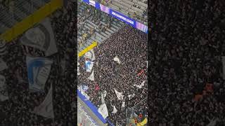 Sturm Graz Fans in Dortmund 05112024 [upl. by Htabmas]