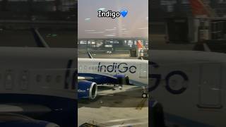 Indigo ✈️ aviation indigo youtubeshorts aviationlovers [upl. by Burk]