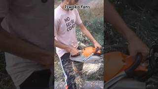 Topsun 62cc chainsaw 😱 trending shortsfeed [upl. by Ahso]