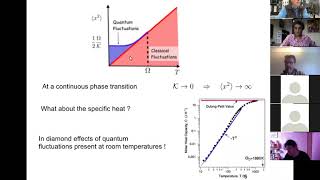 Premala Chandra Rutgers Quantum Criticality in Polar Materials I [upl. by Llerahs]