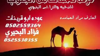 دحية بدوية نسمات من الجنوب 2015 عودة ابو قرينات وفؤاد البحيري4 [upl. by Chaffin170]