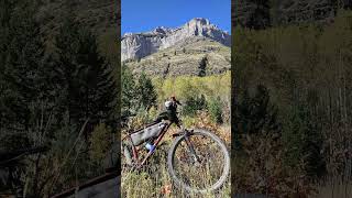 Fernie BC Mt Broadwood Adventure Bike Ride [upl. by Saleme]