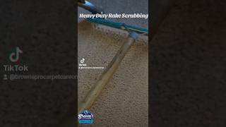 Satisfying Rake scrubbing carpetcleaning [upl. by Ahseital]