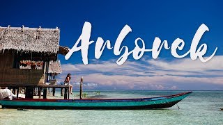 Serunya Liburan di Arborek Raja Ampat  Vlog [upl. by Ahtoelc157]