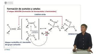 Adición al grupo carbonilo   UPV [upl. by Dahsraf]