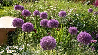 RHS Chelsea Flower Show 2024  Episode 1 Part 1 chelseaflowershow gardenideas rhsgarden [upl. by Eneja]