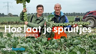 Hoe laat je spruitjes lekkerder smaken  Dit is het seizoen  Allerhande [upl. by Fazeli]