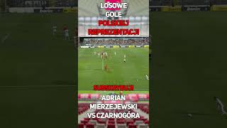 Losowe Gole Polskiej Reprezentacji  Mierzejewski VS Czarnogóra shorts football piłkanożna gol [upl. by Toscano465]