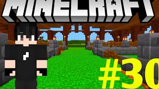 fizemos um celeiro no Minecraft 117 S1 EP30 TAMILEPSE [upl. by Aspia425]