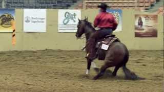 NRCHA Snaffle Bit Futurity 2013 PROMO [upl. by Ylrebmi902]