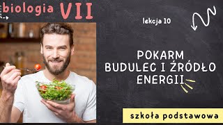 Biologia 7 Lekcja 10  Pokarm budulec i źródło energii [upl. by Susanetta72]