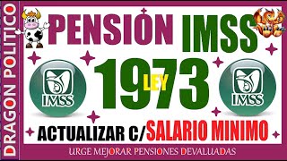 1124🔥PENSIÒN IMSS LEY 1973 😃👍✅ pension noticias ayudasocial pagos [upl. by Deloria181]