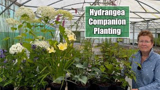 Companion Planting for Hydrangea in Part Shade  How To Build A Garden Border [upl. by Ramaj]