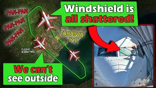 CAPTAIN INJURED ON BIRD STRIKE  Flair B7378 MAX Emergency Return to Toronto [upl. by Gable]