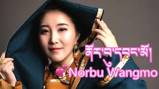 New Tibetan Song last night by Norbu Wangmo མདང་ནུབ། ནོར་བུ་དབང་མོ། [upl. by Irahc]