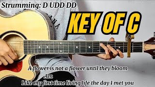 Sining  Dionela ft Jay R  Guitar Tutorial with Chords and Lyrics Guitar Play Along [upl. by Clerk]