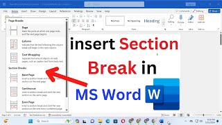 how to insert section break in ms word  how to add a section break in word [upl. by Enneiviv337]