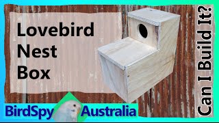 Lovebird Nest Box  Can I Build It Episode 05  BirdSpyAus [upl. by Mirabelle]