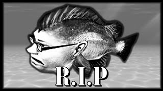 RIP Kempy Bass  Hungry shark Memes [upl. by Emse]