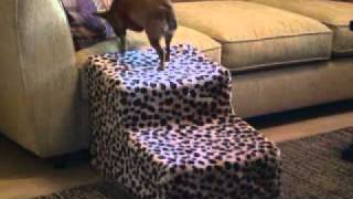 Plush Pet Stairs and Pet Steps  PetMeds [upl. by Anitsua]