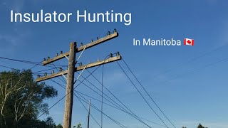 Insulator Hunting In Manitoba [upl. by Vincelette761]