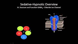 The GABA receptor  How does it work [upl. by Sumedocin]