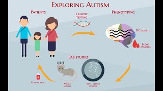 Autism and the Microbiome Very Interesting Good vs Bad Bacteria Analysis Reported in recent research [upl. by Hanley645]