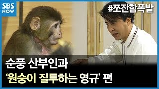 SBS 순풍산부인과 레전드 시트콤  ‘원숭이 질투하는 영규’ 편 [upl. by Aihn]