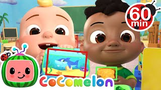 The Lunch Song  Food Shapes  CoComelon Nursery Rhymes amp Kids Songs [upl. by Assitruc]