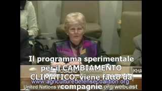 Chemtrails  Scie Chimiche  La Conferma di Rosalind Peterson alle Nazioni Unite [upl. by As]