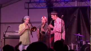 Panorama Jazz Band  2012 Lotus Festival [upl. by Erund119]