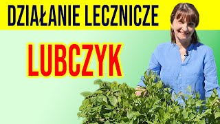 💥LUBCZYK  działanie lecznicze STAWY NERKI DETOKS cz 1 [upl. by Aciram24]