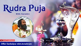 Rudra Puja  18 Nov 2024  Live From VDS Bangalore Ashram [upl. by Cadel]