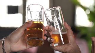 HD Group of Friends Cheers Glasses  Stock Footage to Download [upl. by Cartie85]