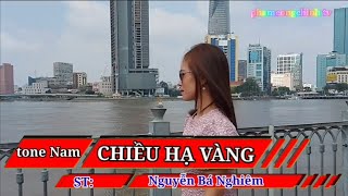 Chiều Hạ Vàng  Nguyễn Bá Nghiêm Karaoke Tone Nam nhachay karaoke nhactrutinh [upl. by Arita]