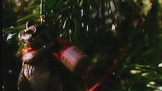 Hallmark Christmas Ornaments 1988 Commercial [upl. by Nohsram]