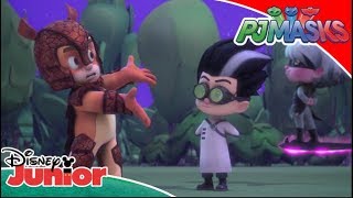 🧐 E Armadylan răufăcător  Eroii În Pijama  Disney Junior România [upl. by Thibaut]