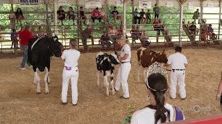 4H Achiever Ellyse Holubar – Fair 2022 [upl. by Joanne]