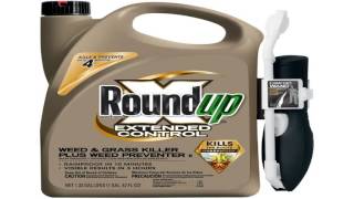 Roundup Weed and Grass Killer III Ready to Use Comfort Wand Sprayer 133 Ga [upl. by Naihr288]