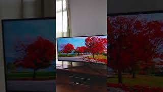 35quot Curved Ultrawide Monitor Extravagance [upl. by Heer]