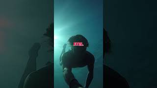 🌊 Scuba Diving for Beginners Explore the Underwater World 🤿 [upl. by Oicor]