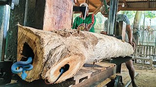 surprising discovery of old teak logs at the sawmill [upl. by Trella]